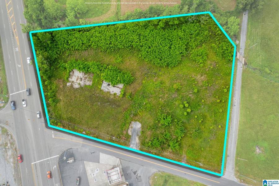 0 COUNTY ROAD 616 #0, Hanceville, AL 35077