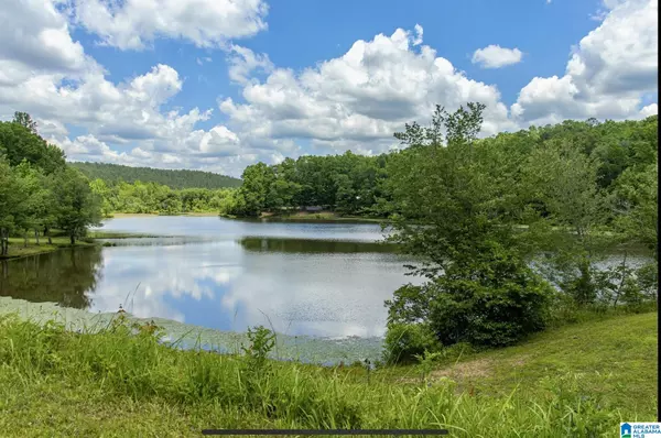 0 SLAUGHTER MILL ROAD #0, Ashland, AL 36251