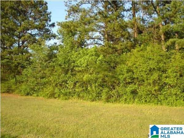 8421 ROUSE ROAD #acreage, Warrior, AL 35180