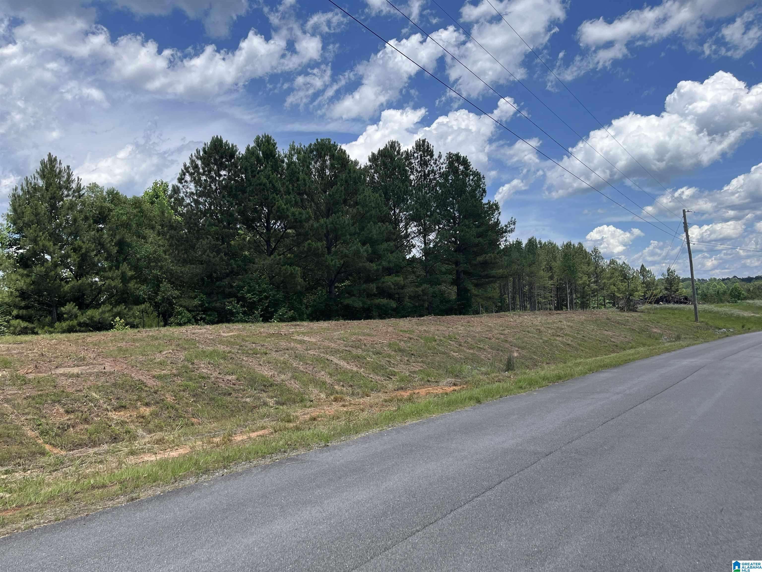 Crane Hill, AL 35053,0 COUNTY ROAD 367 #38
