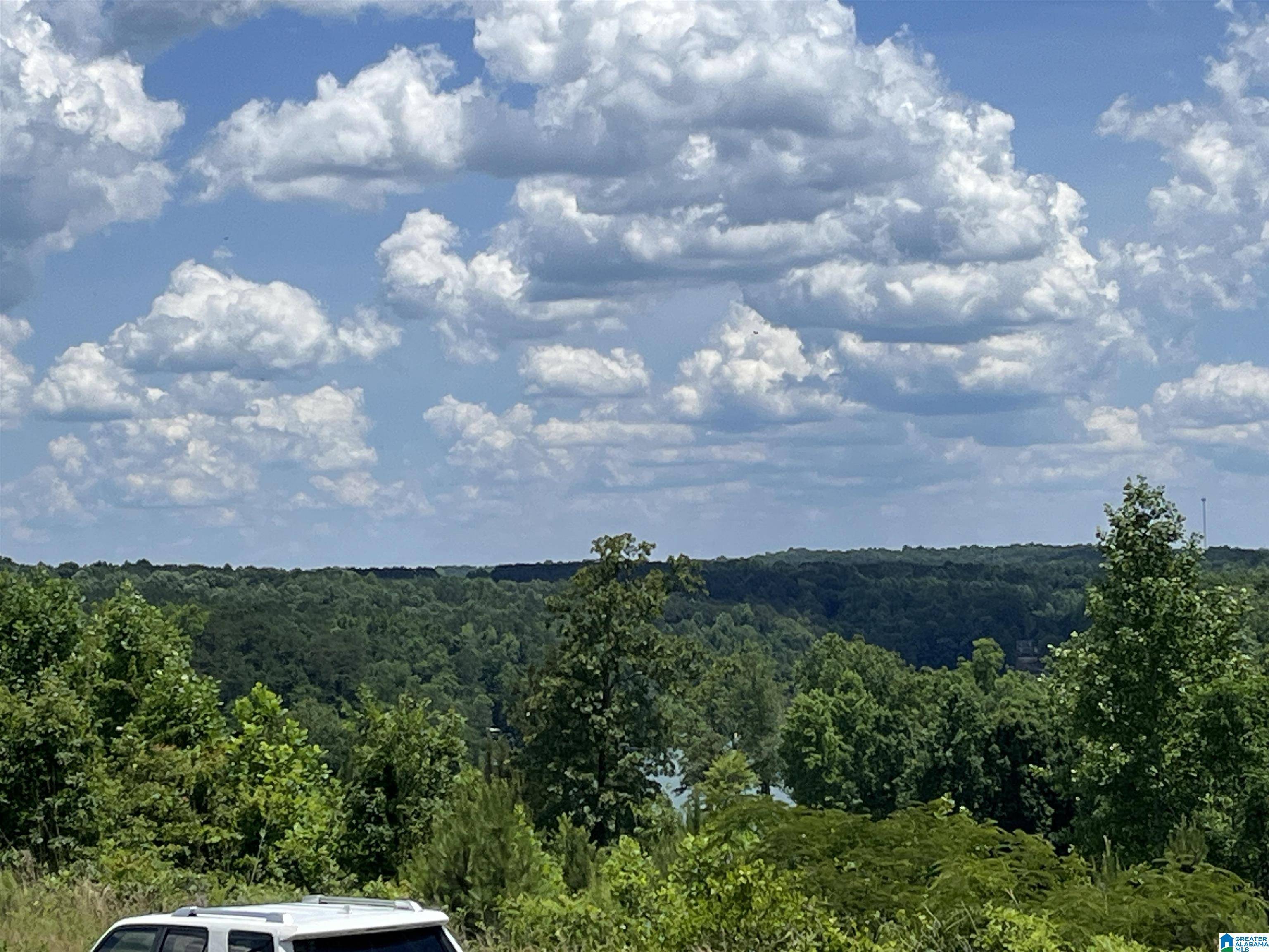 Crane Hill, AL 35053,0 COUNTY ROAD 367 #38