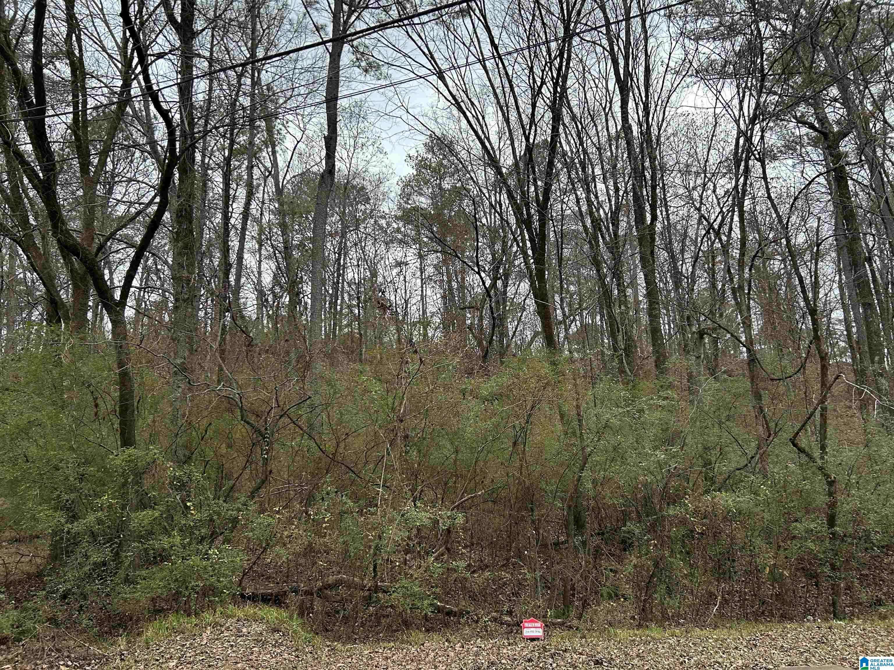 Birmingham, AL 35217,100 PLEASANT VALLEY DRIVE #1
