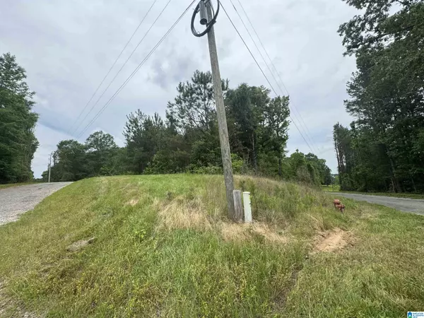 Haleyville, AL 35565,0 ROCK HILL ROAD #1