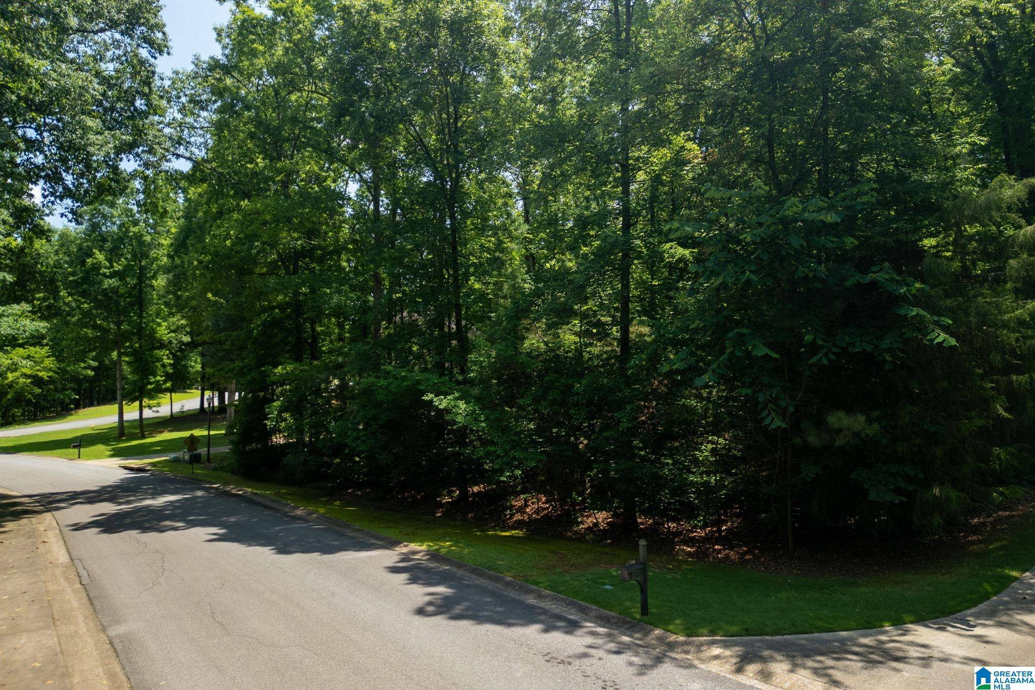Mccalla, AL 35111,Lot 5 FURNACE CREEK PARKWAY #5