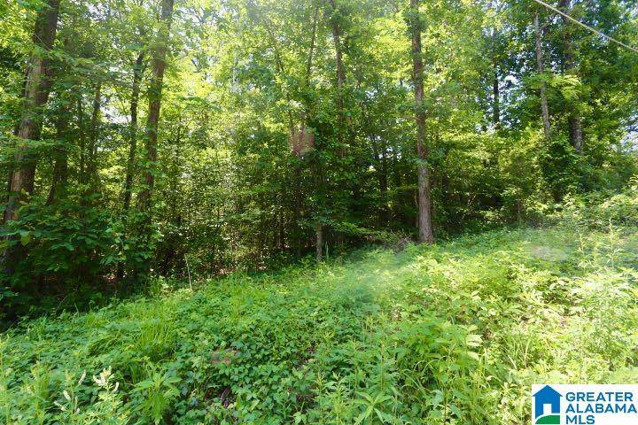 6417 LE JEUNE DRIVE #7, 8, 9, Trussville, AL 35173