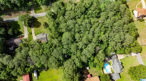 Lakeview, AL 35111,0 MICHELLE DRIVE #3