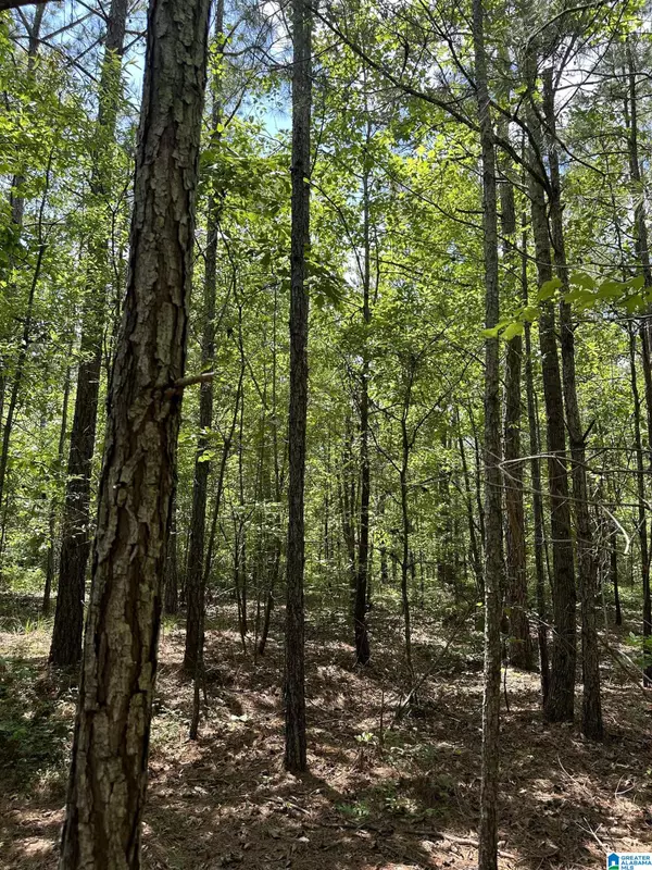 Talladega, AL 35160,00 SERENITY LANE #Lot 1