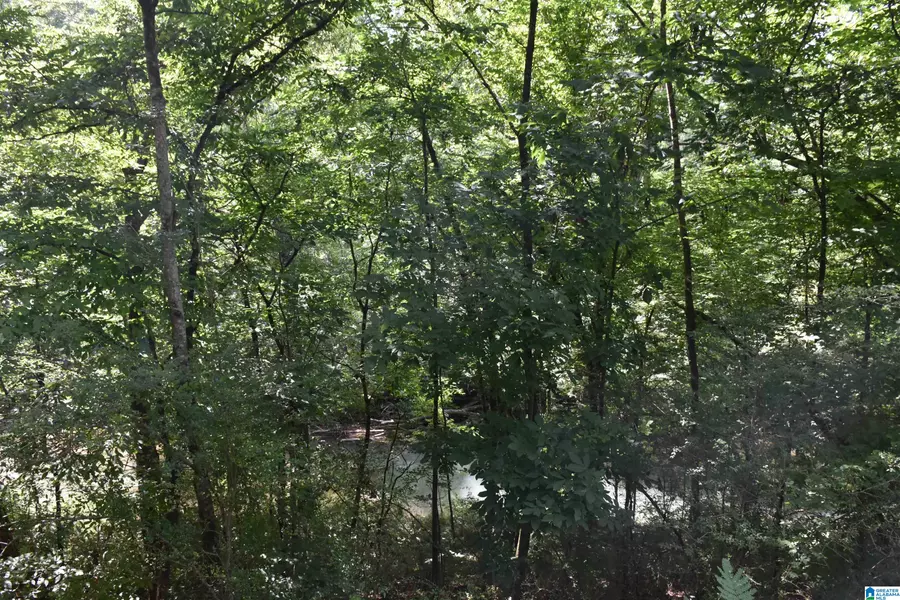 0 OLD SYLACAUGA HIGHWAY #0, Sylacauga, AL 35150