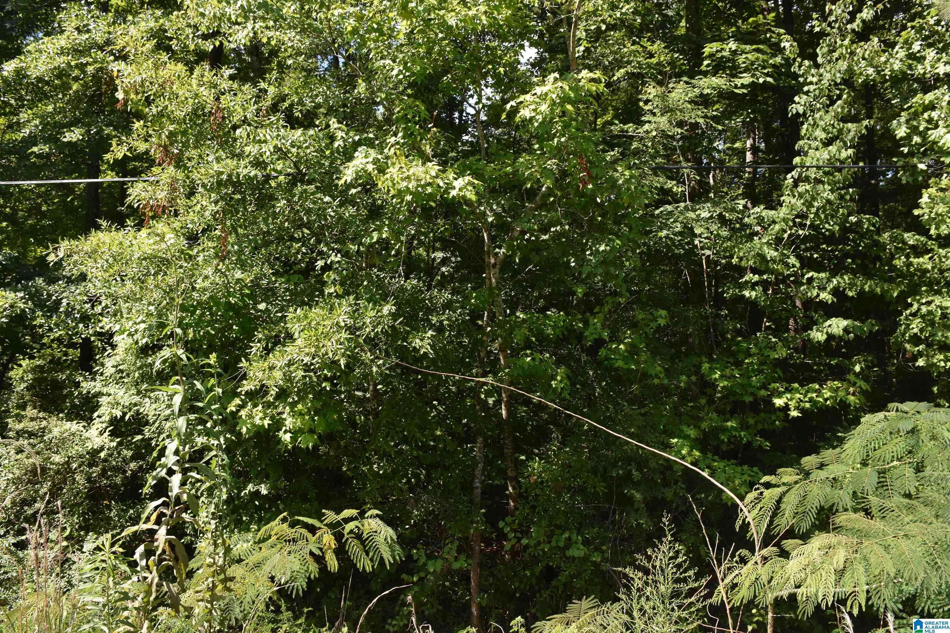 Sylacauga, AL 35150,0 OLD SYLACAUGA HIGHWAY #0