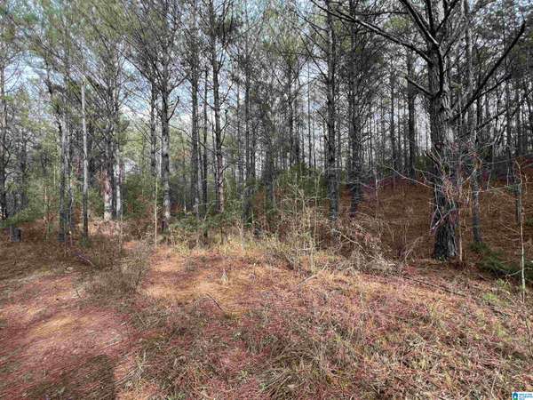 Brookwood, AL 35444,15239 RIDGELAND ROAD #n/a