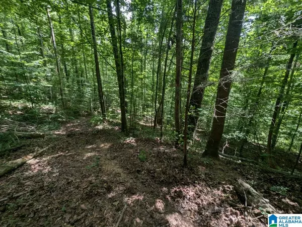 Eva, AL 35621,0 BLOCKER ROAD #-