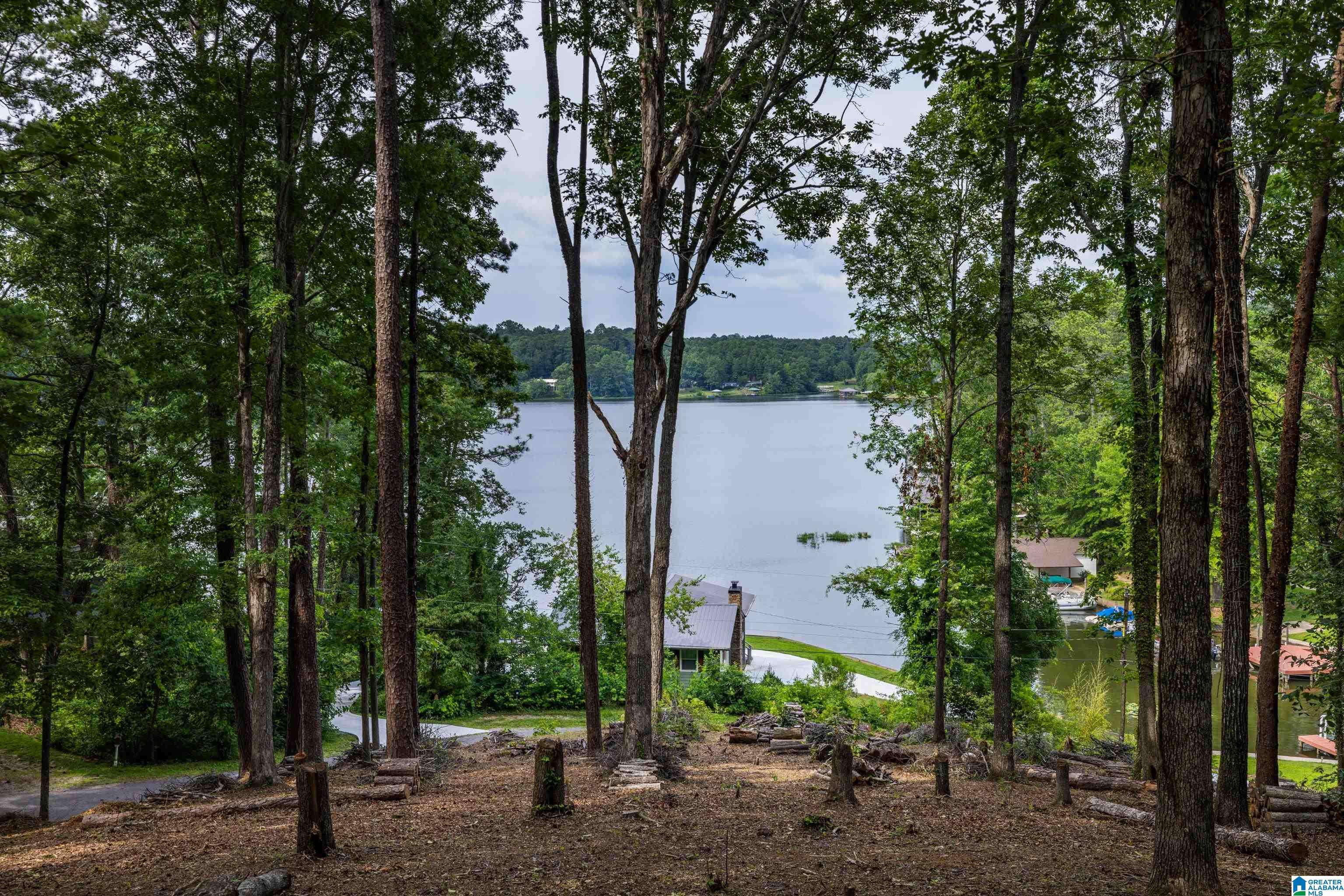 58 E SUNSET BOULEVARD #0, Oneonta, AL 35121