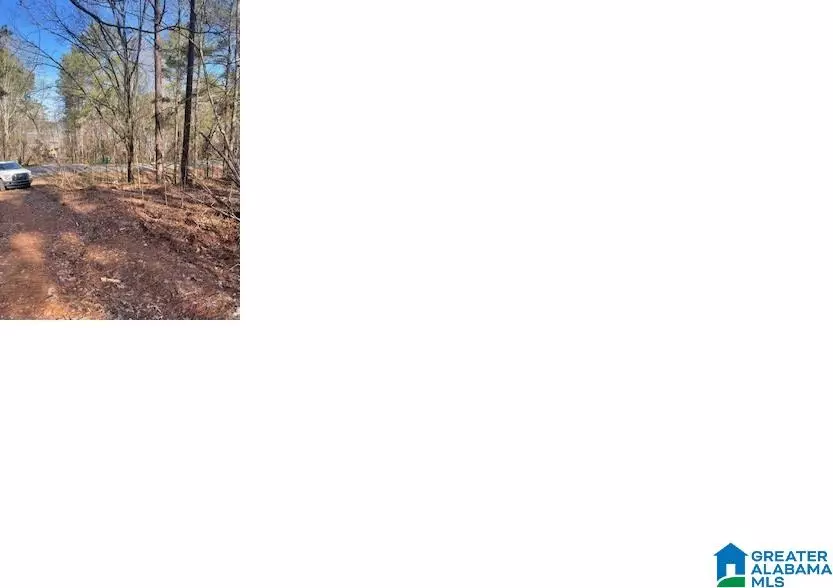 PLUTO CIRCLE #21, Alpine, AL 35014