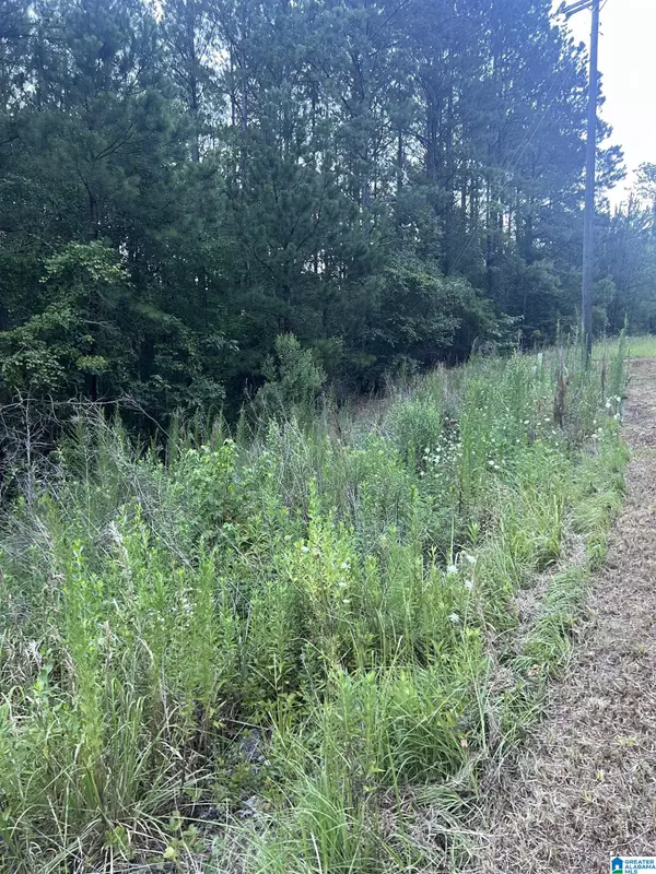 0 SHORE SIDE LANE #215, Sylacauga, AL 35151