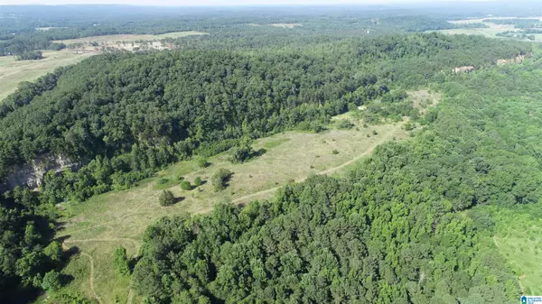 Oneonta, AL 35121,0 HIGHWAY 231 #88+/- Ac