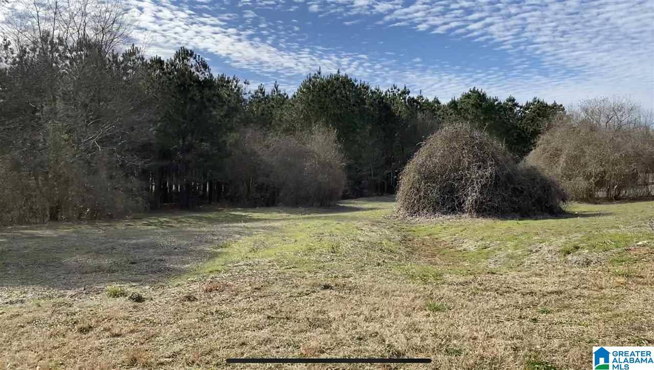 Thorsby, AL 35171,Lot 5 COUNTY ROAD 70 #5