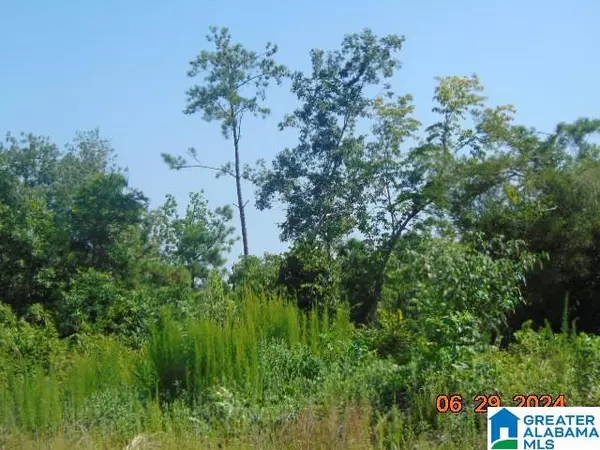 Verbena, AL 36091,0 COUNTY ROAD 447 #1