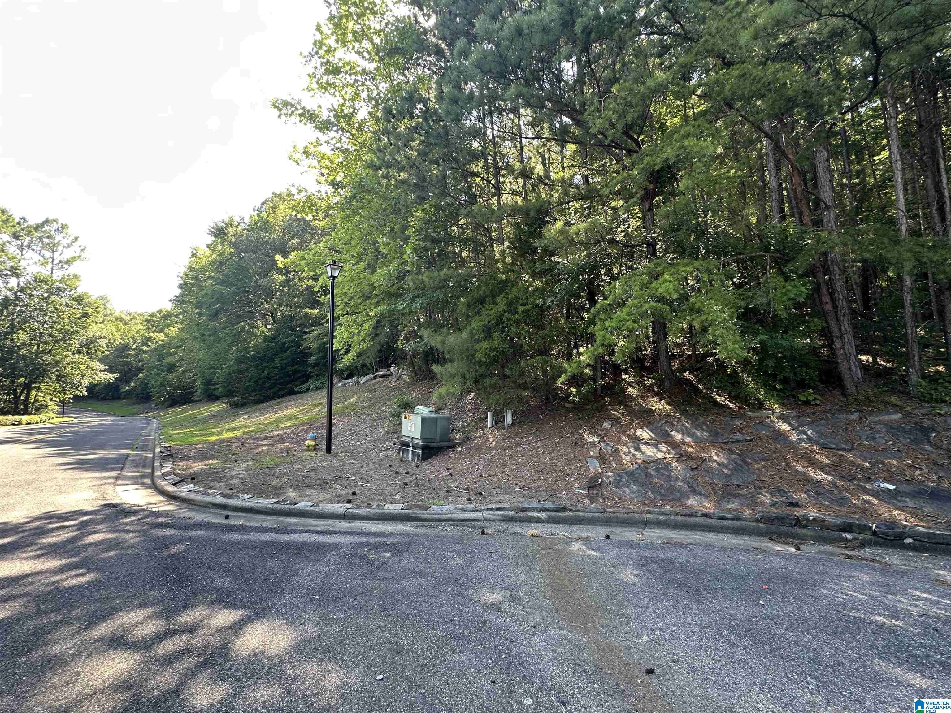 Oneonta, AL 35121,0 BELLERIVE CIRCLE #158A
