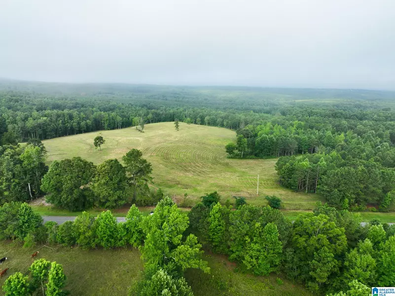 168+/- Acres COUNTY ROAD 112 #168 Acres, Woodland, AL 36280