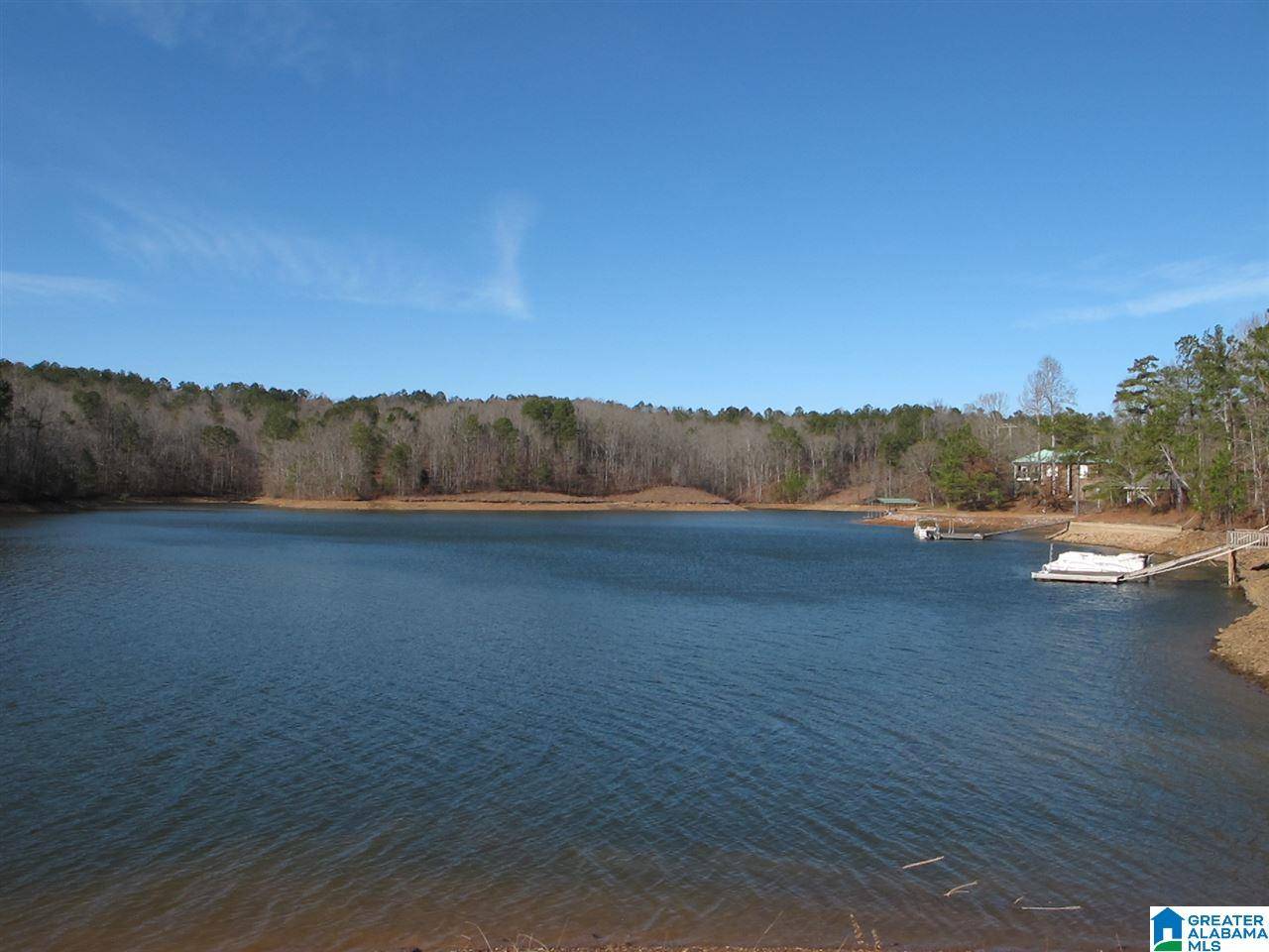 Lot 13 COUNTY ROAD 99 #13, Wedowee, AL 36278