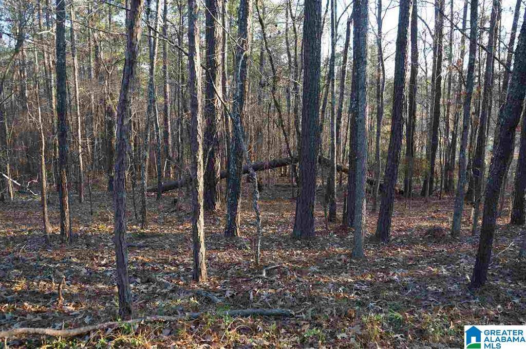 Sylacauga, AL 35150,0 AZALEA ROAD #16 & 17