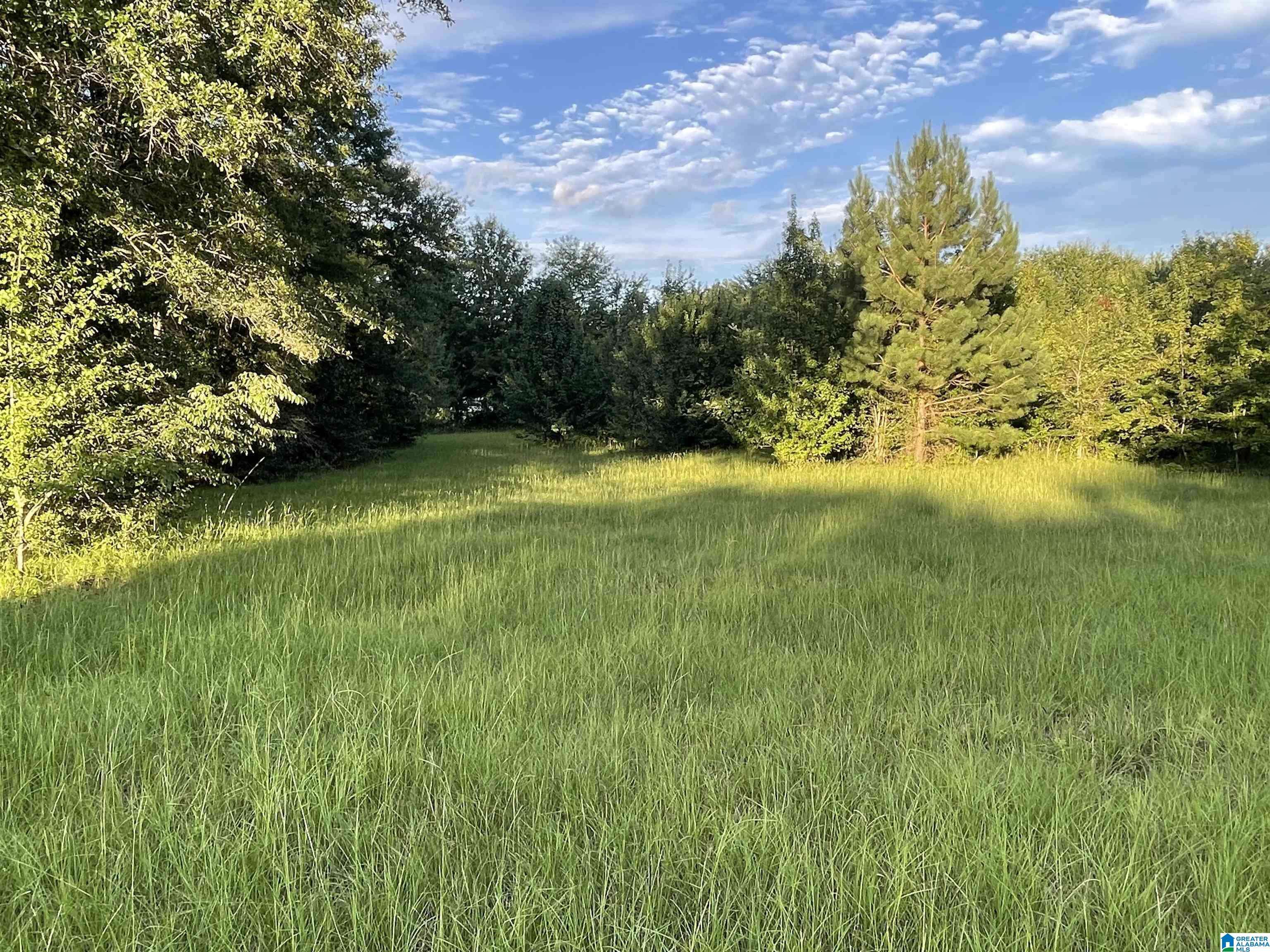 TBD COUNTY ROAD 61 #1, Wilsonville, AL 35186