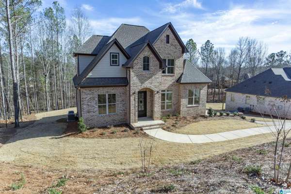 589 WHITE TAIL RUN, Chelsea, AL 35043