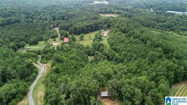 45 MOORES LANE,  Parrish,  AL 35580