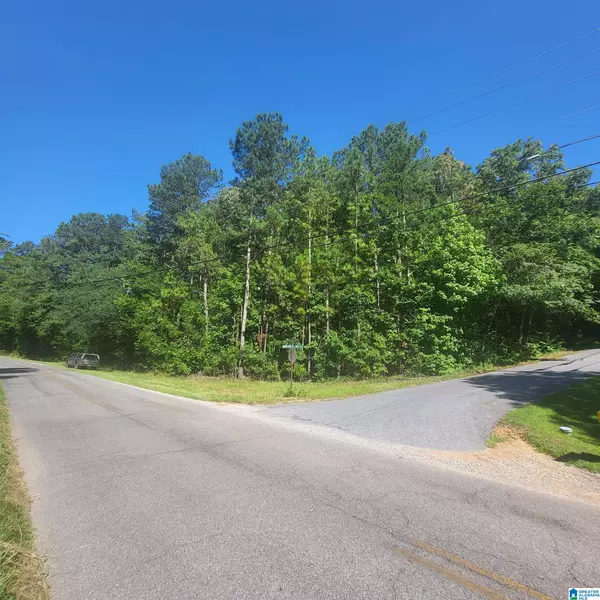 0 GROGAN ROAD #0, Talladega, AL 35160