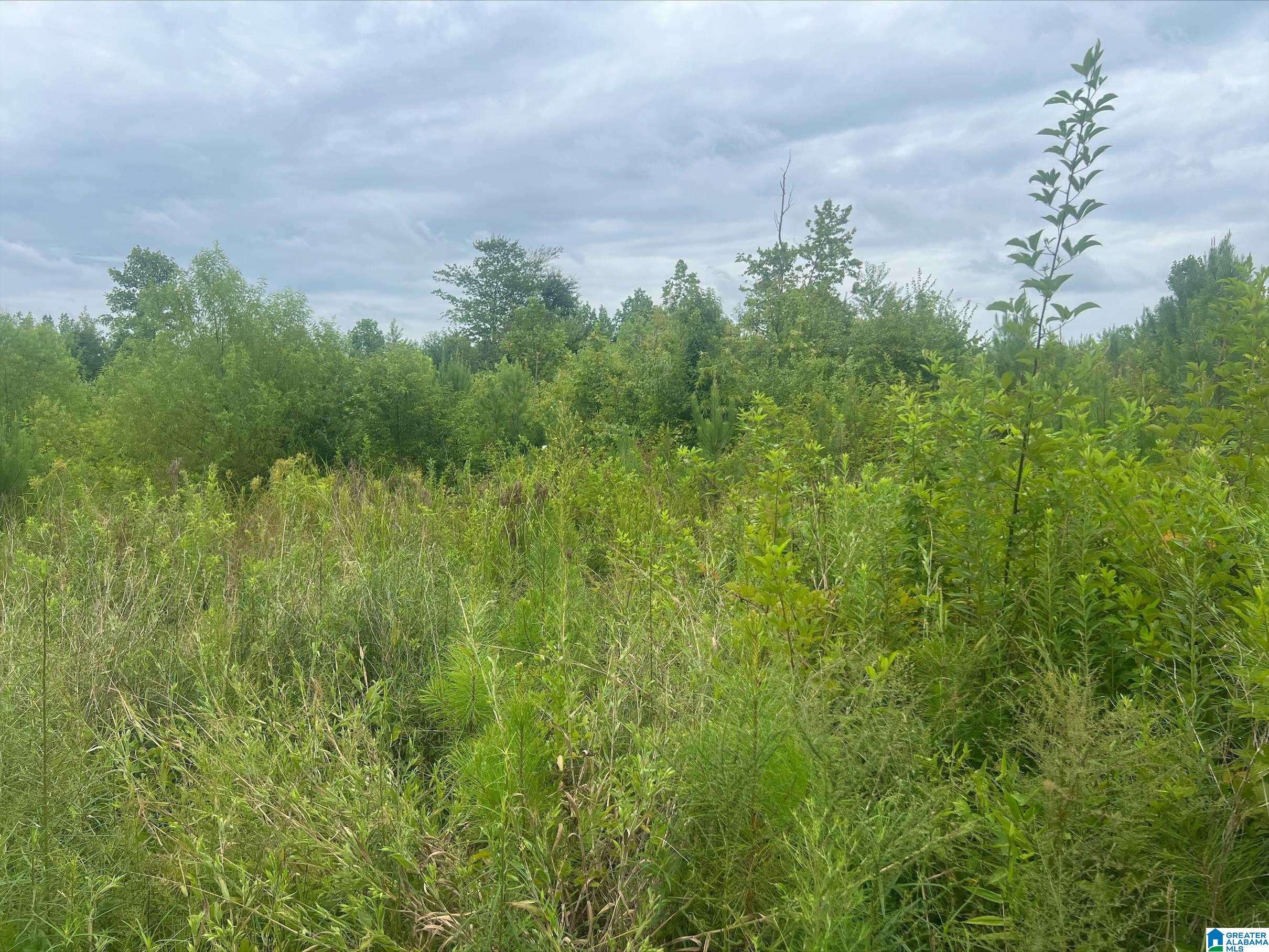 0 HIGHWAY 78 #TRACT 2, Muscadine, AL 36262