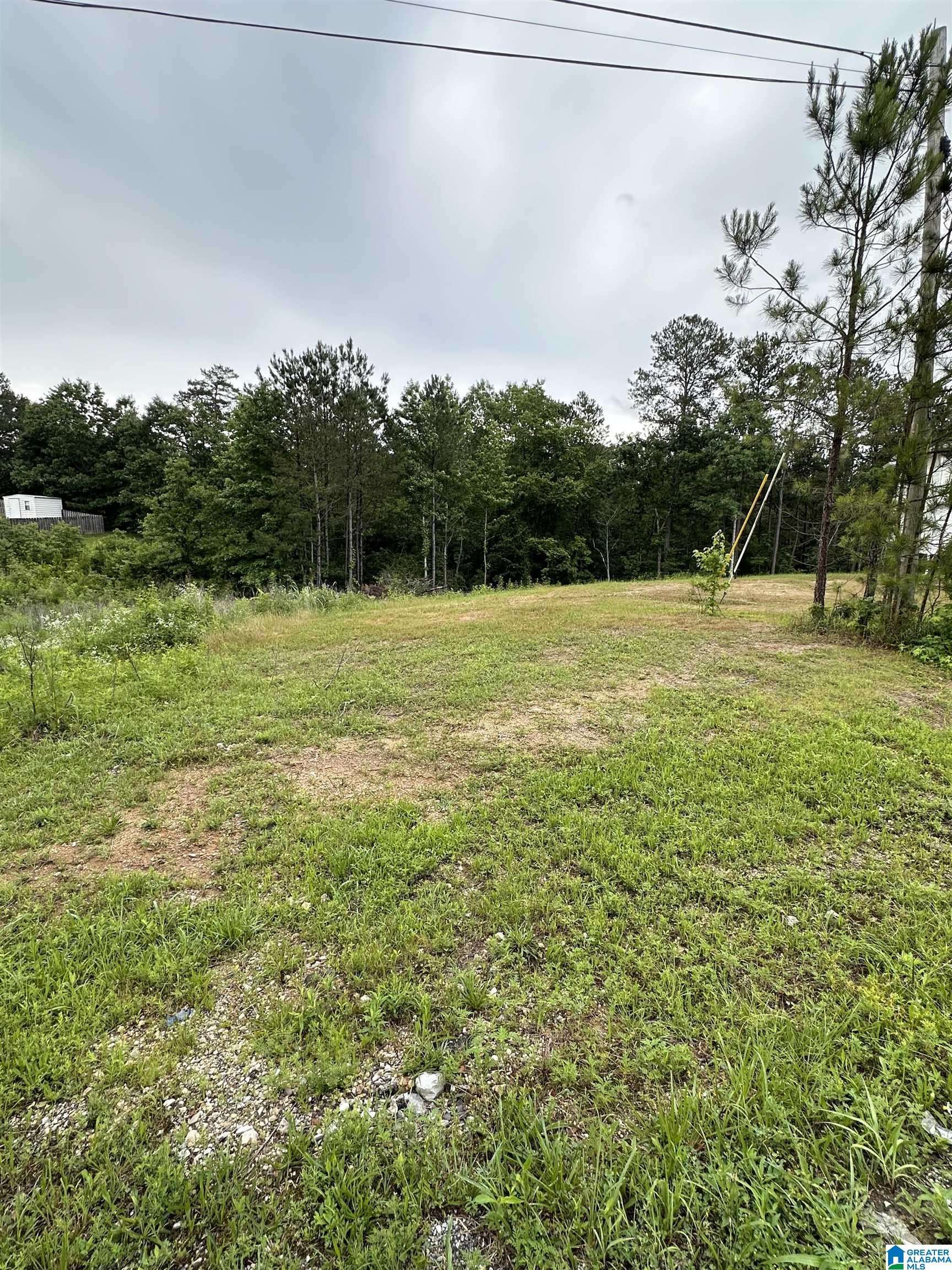 Odenville, AL 35004,230 VIRGINIA WAY #68
