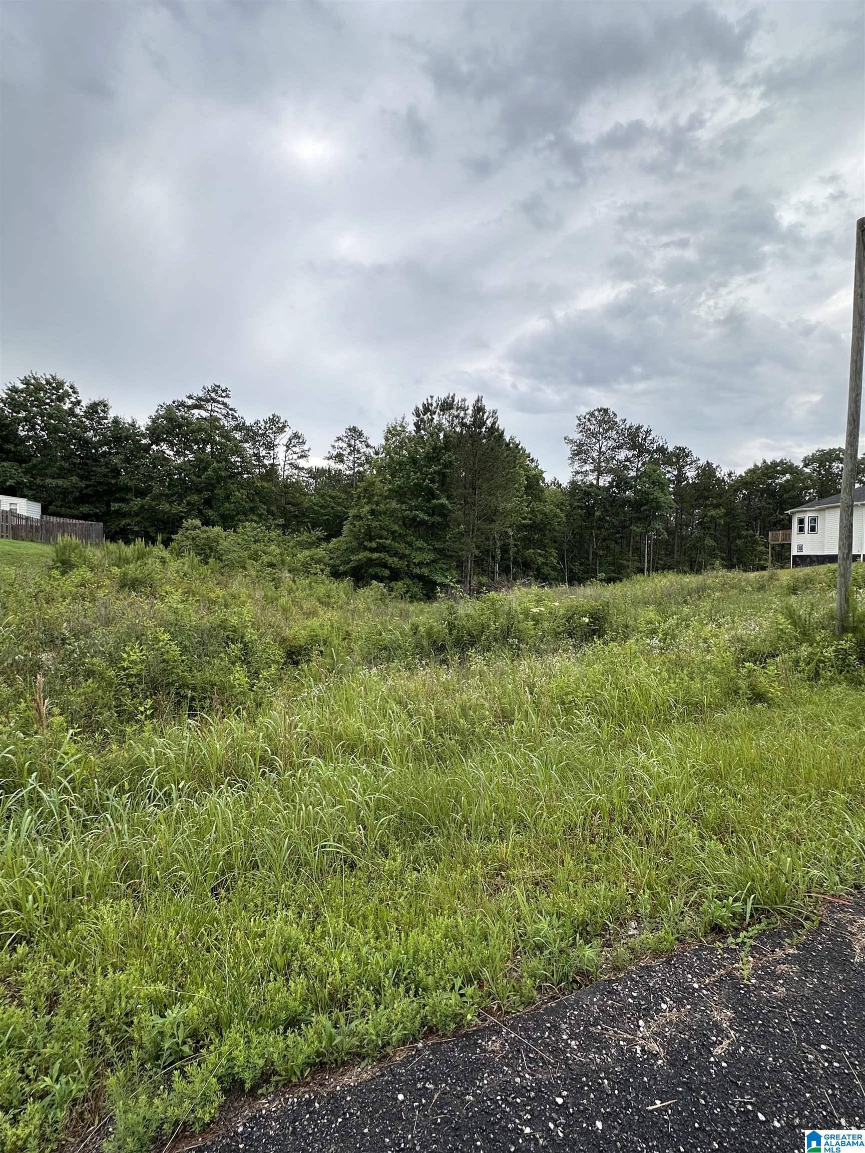 Odenville, AL 35004,230 VIRGINIA WAY #68