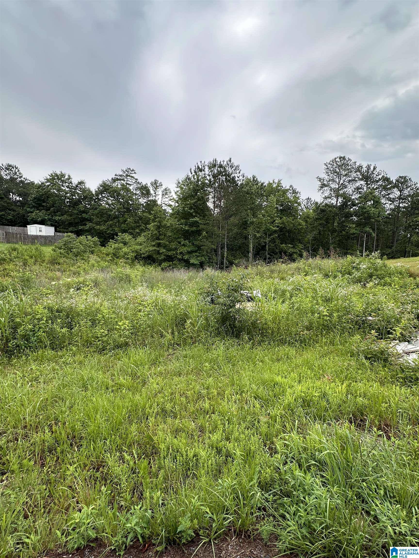 Odenville, AL 35004,220 VIRGINIA WAY #69