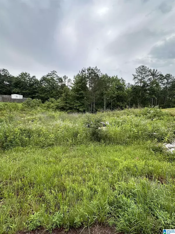 Odenville, AL 35004,220 VIRGINIA WAY #69