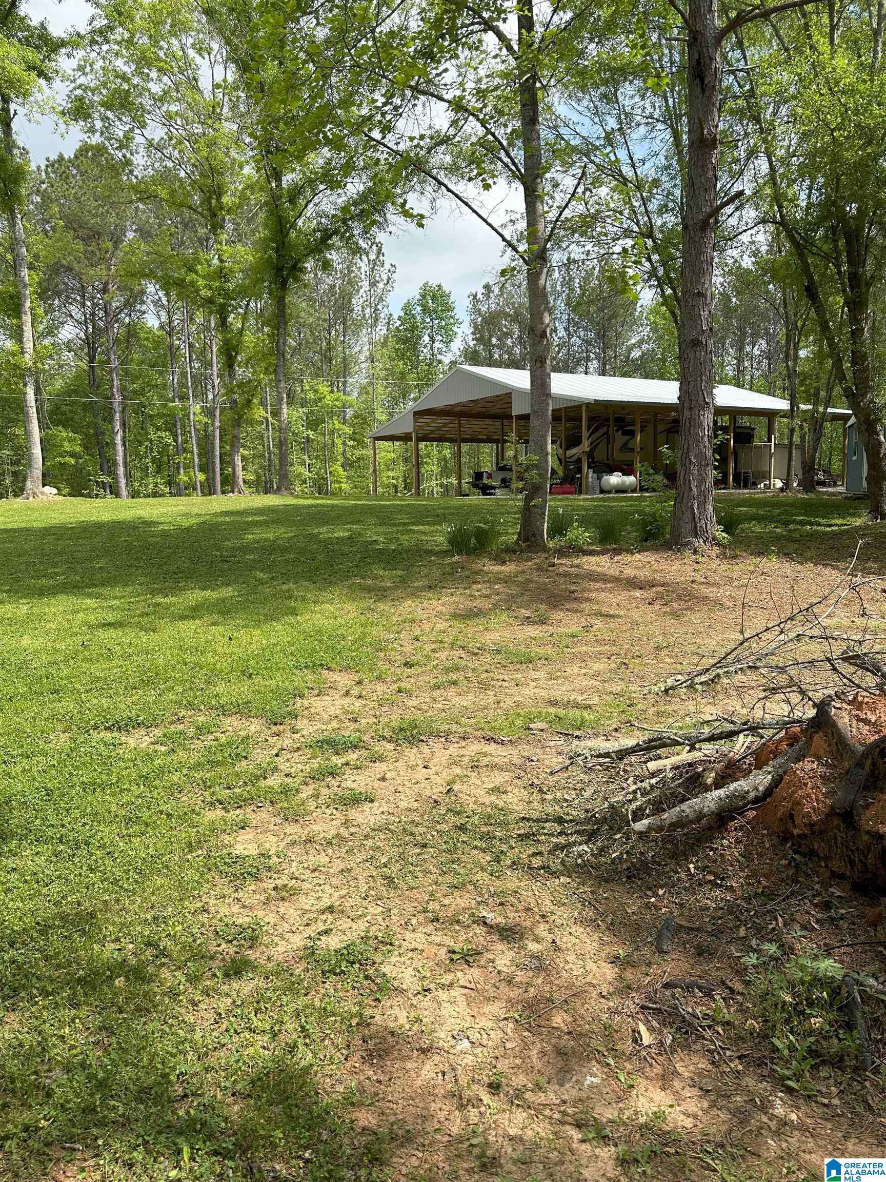 Wedowee, AL 36278,1734 COUNTY ROAD 820 #81 Ac