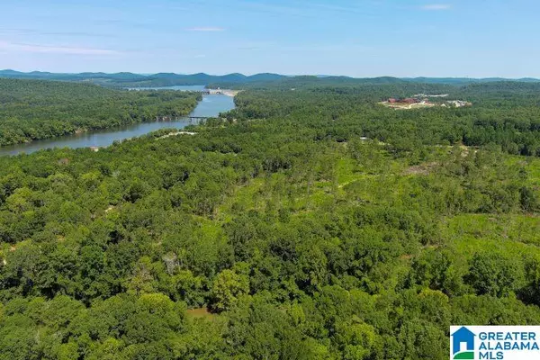 Ohatchee, AL 36271,209 HARTS FERRY ROAD #3