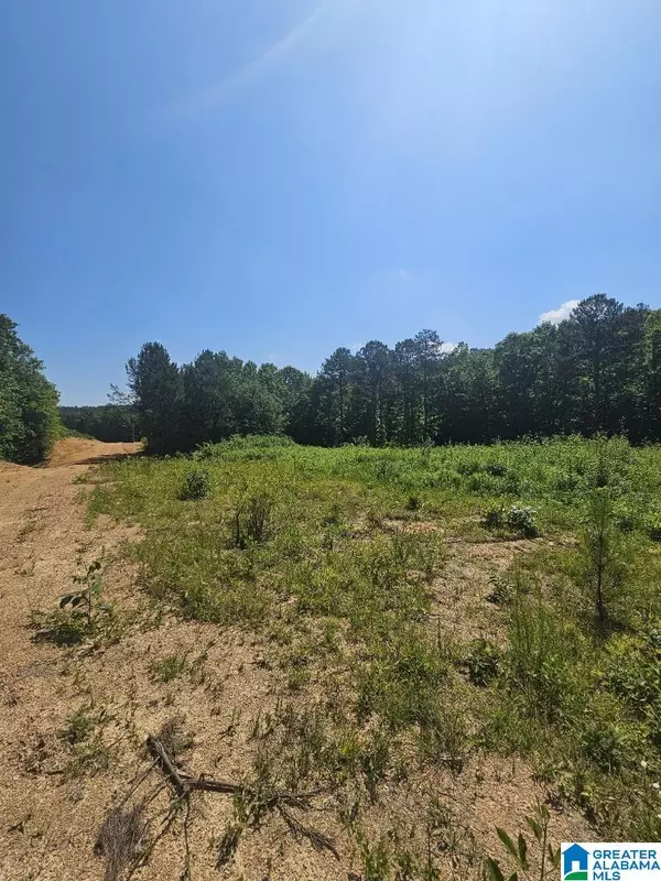 Odenville, AL 35120,0 COUNTY ROAD 12 #0