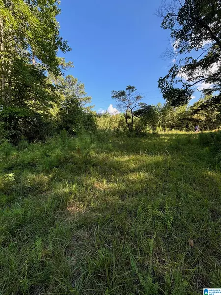 223 48 WEST ROAD #Lot 35, Lineville, AL 36266