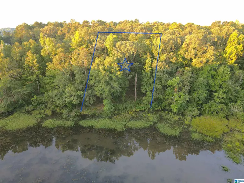 53 SUMMERS BEND #1, Sylacauga, AL 35151