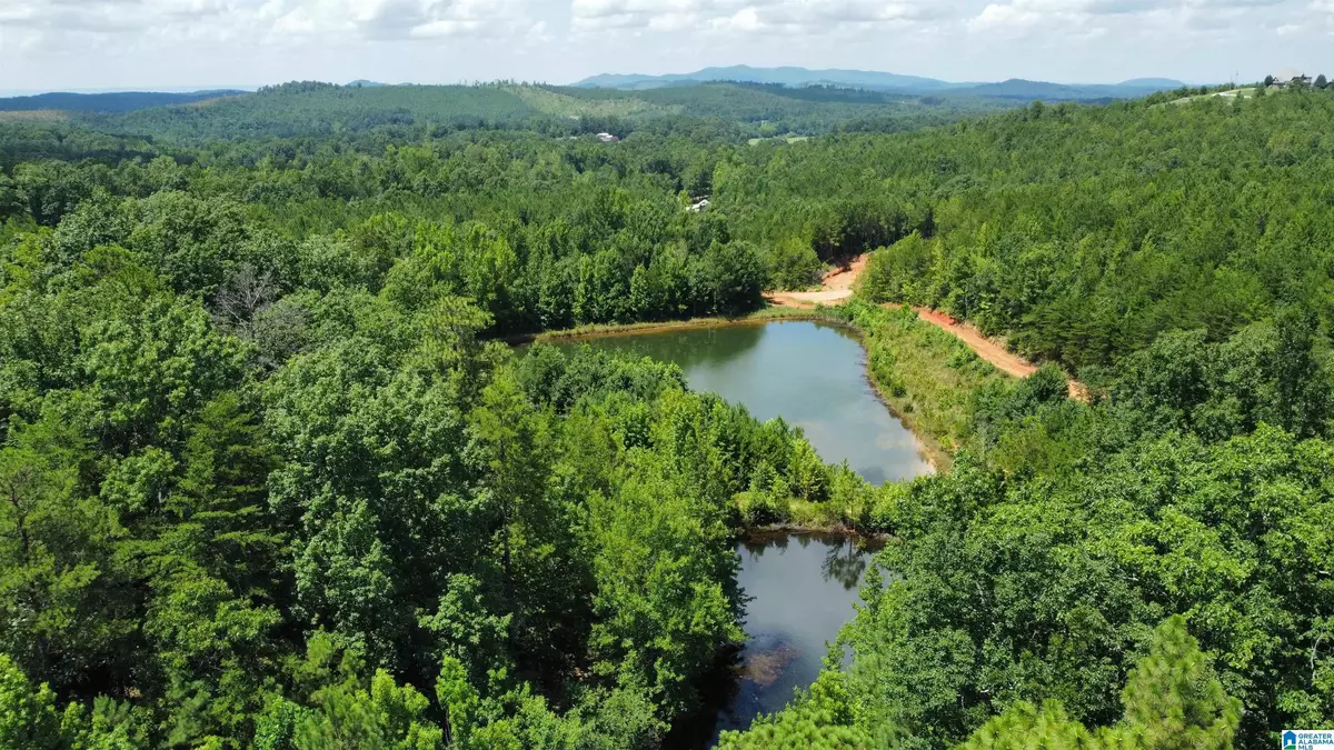 Piedmont, AL 36272,14.64 Acres TUCK-A-WAY DRIVE #24 & 25