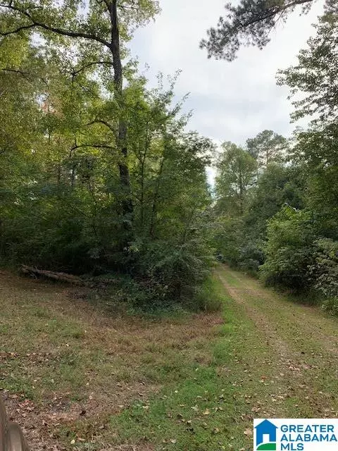 Oneonta, AL 35121,53 BEAR CREEK CIRCLE #53