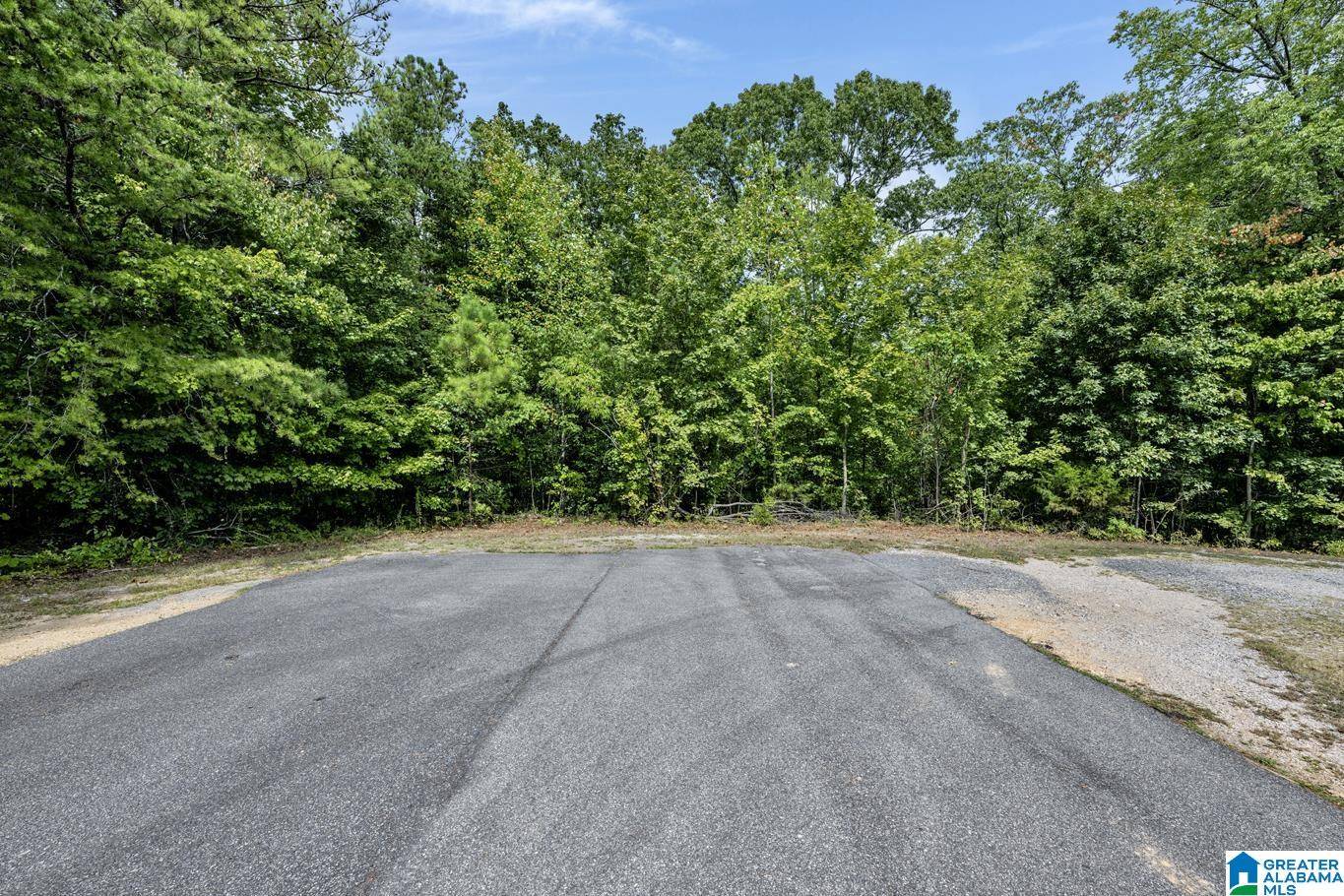 Pinson, AL 35126,6662 WESSON CIRCLE #1