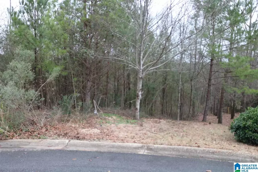 6475 WILLIAM DRIVE #14, Concord, AL 35023