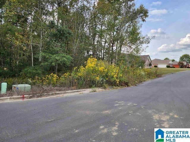 Albertville, AL 35951,466 SUMMERFIELD DRIVE