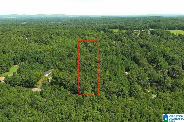 0 TAWBUSH ROAD #16, Trafford, AL 35172