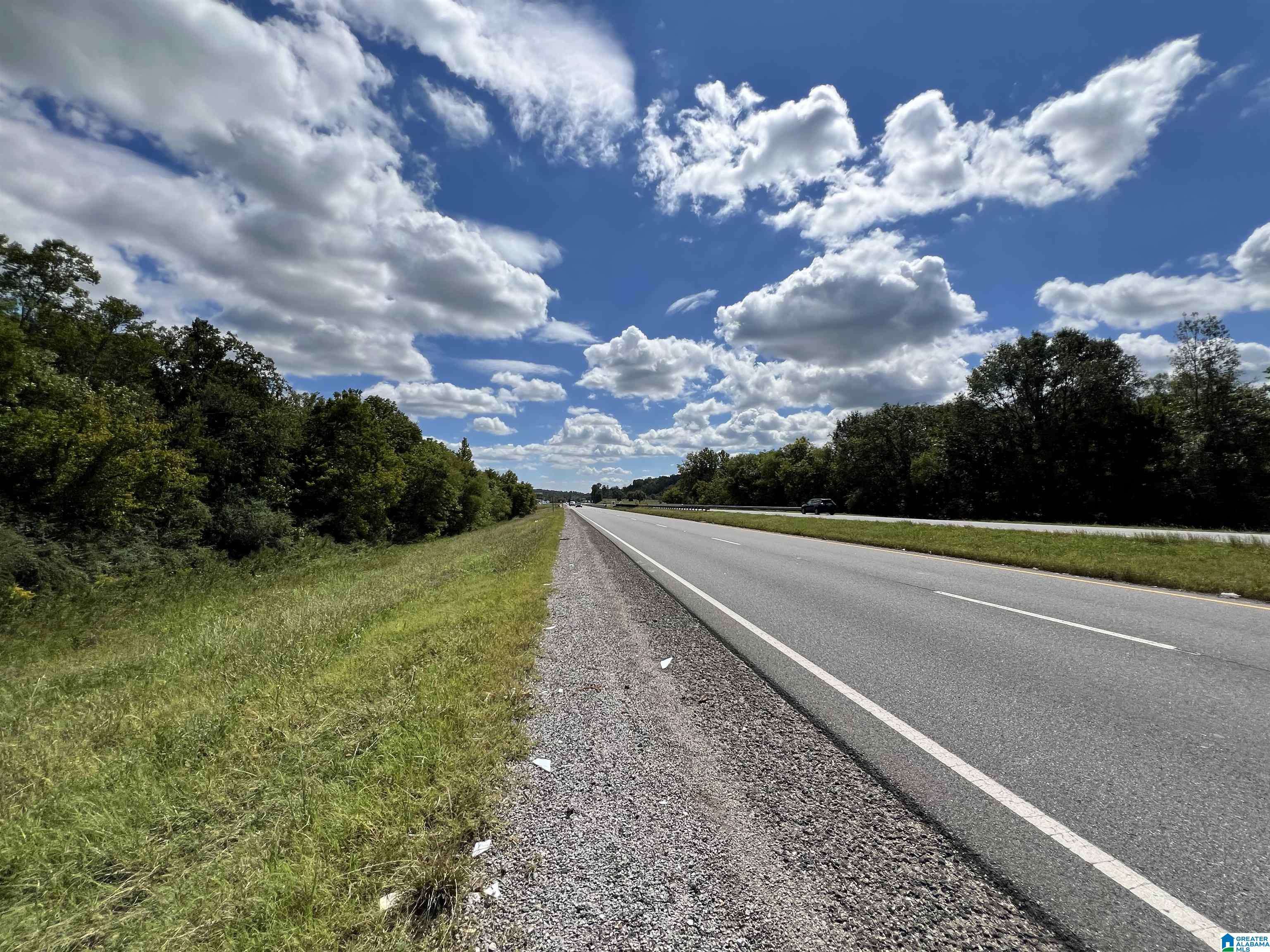 0 HIGHWAY 431 #1, Alexandria, AL 36250