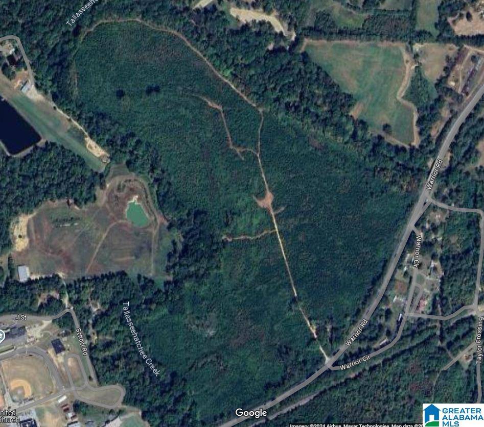 Ohatchee, AL 36271,0 WARRIOR ROAD #0