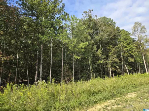 Oneonta, AL 35121,INDUSTRIAL PARK ROAD
