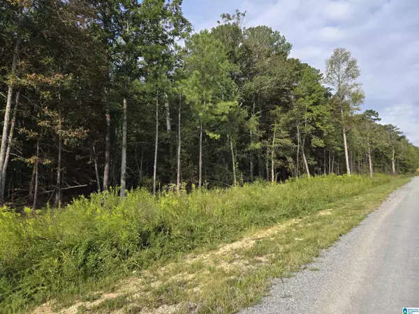 INDUSTRIAL PARK ROAD, Oneonta, AL 35121