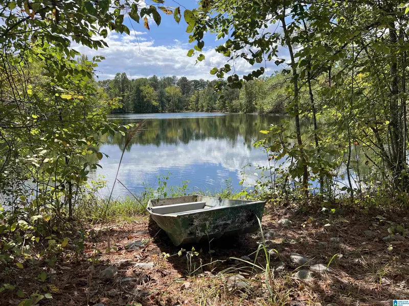 0 SWEATT ROAD #n/a, Ashville, AL 35953